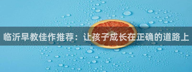 威九国际官方入口官网：临沂早教佳作推荐：让孩子成长在正确的道路上