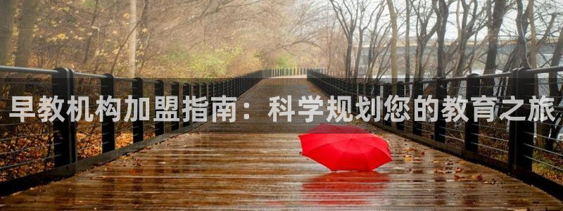 威九国际app入口在哪：早教机构加盟指南：科学规划您的教育之旅