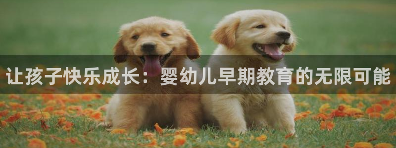 威九国际精：让孩子快乐成长：婴幼儿早期教育的无限可能