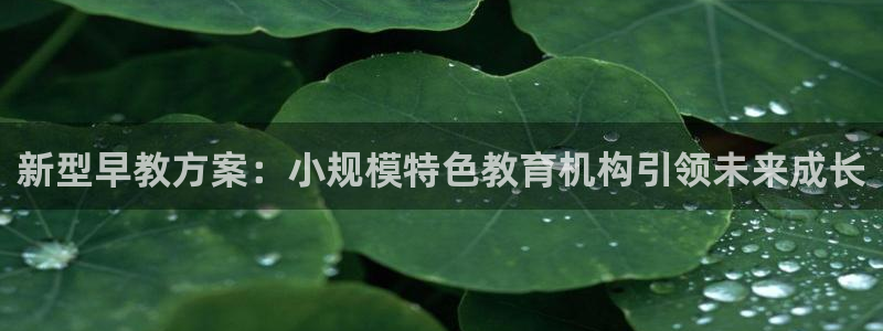 78mapp威九国际人民网：新型早教方案：小规模特色教育机构引领未来成长
