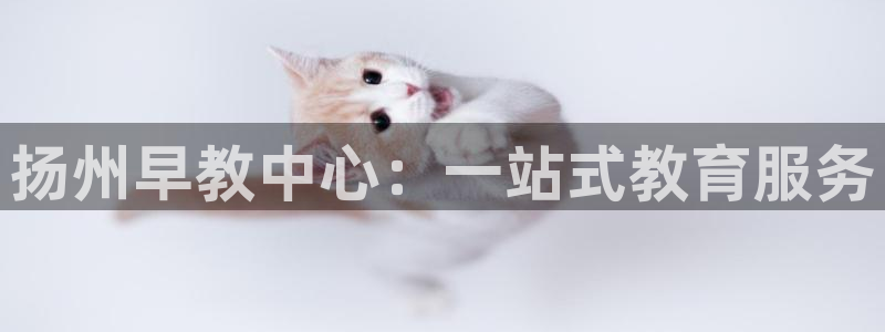 威九国际女：扬州早教中心：一站式教育服务