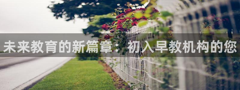 威九国际抡里：未来教育的新篇章：初入早教机构的您
