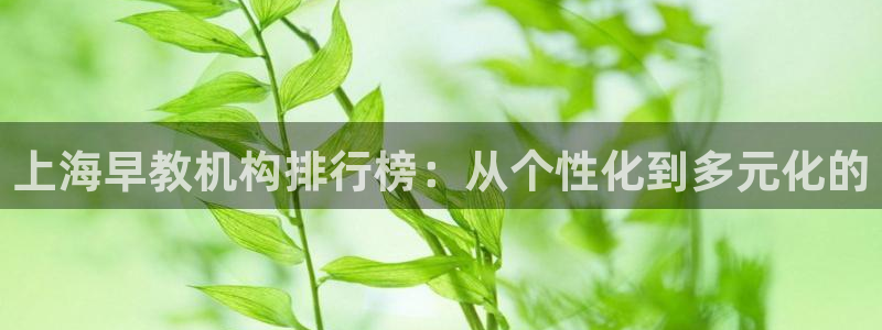 威九国际取款不会被骗吧是真的吗：上海早教机构排行榜：从个性化到多元化的