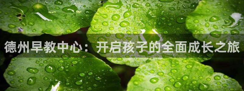 威九国际网站客服电话多少啊：德州早教中心：开启孩子的全面成长之旅