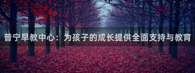 威九国际游戏：普宁早教中心：为孩子的成长提供全面支持与教育
