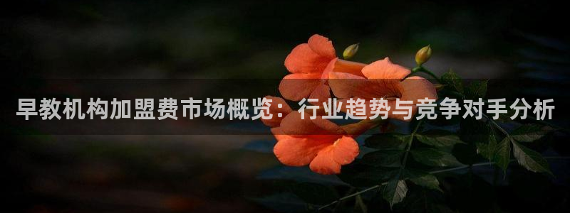 威九国际78mob：早教机构加盟费市场概览：行业趋势与竞争对手分析