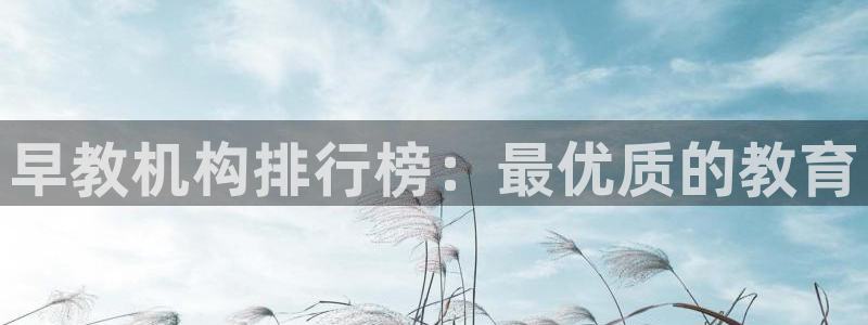 威九国际v9：早教机构排行榜：最优质的教育