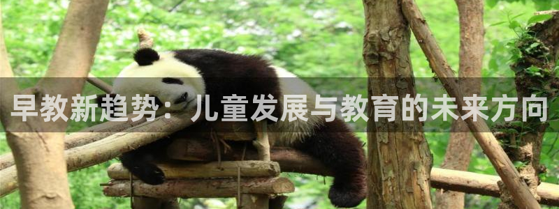 威九国际78m78下载：早教新趋势：儿童发展与教育的未来方向