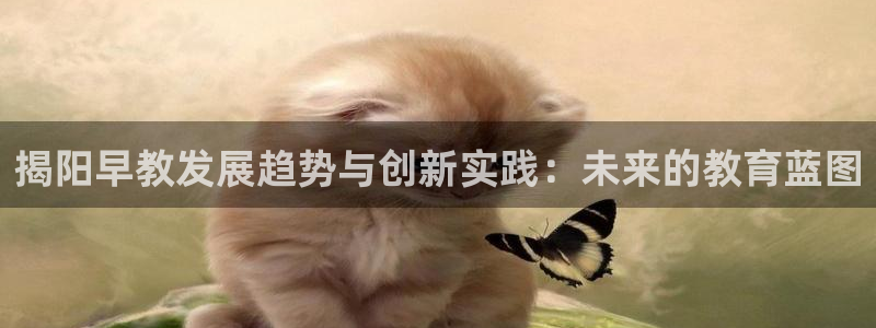 威九国际男主：揭阳早教发展趋势与创新实践：未来的教育蓝图