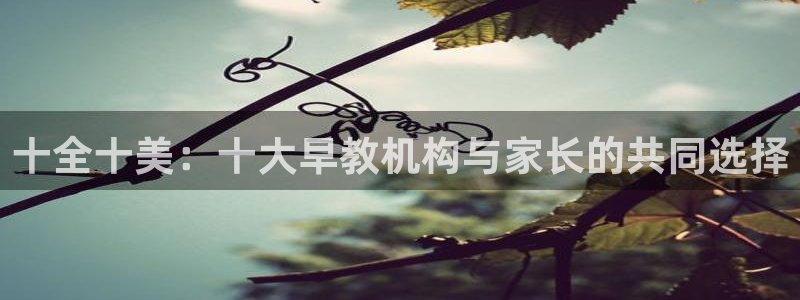 威九国际66m入口：十全十美：十大早教机构与家长的共同选择