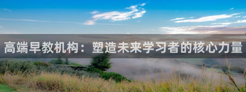 威九国际网站入口&rdpuo：高端早教机构：塑造未来学习者的核心力量