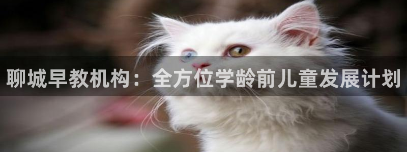 威九国际APP下载：聊城早教机构：全方位学龄前儿童发展计划