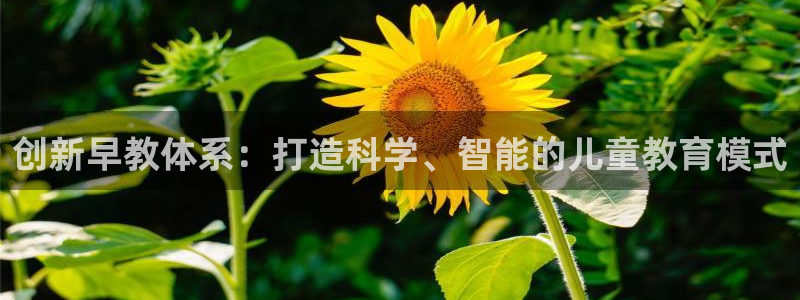 威九国际网站登录：创新早教体系：打造科学、智能的儿童教育模式