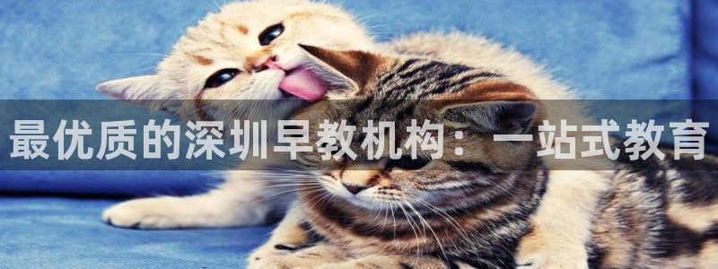 威九国际入口一：最优质的深圳早教机构：一站式教育