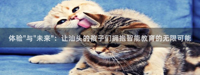威九国际下载：体验\