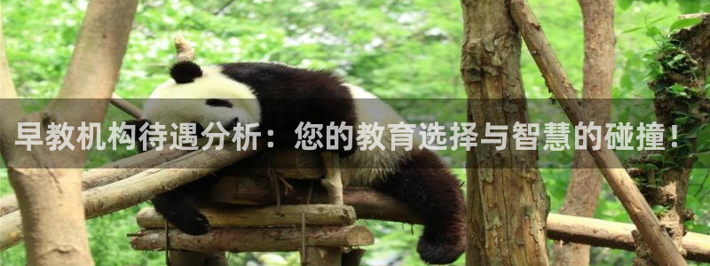 威九国际app：早教机构待遇分析：您的教育选择与智慧的碰撞！