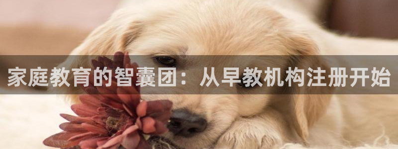 威九国际ppt免费下载网址：家庭教育的智囊团：从早教机构注册开始