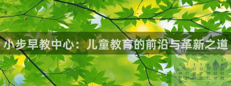 威九国际后爸：小步早教中心：儿童教育的前沿与革新之道