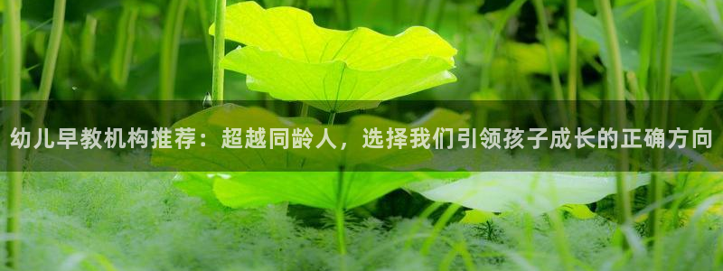 威九国际电影HD：幼儿早教机构推荐：超越同龄人，选择我们引领孩子成长的正确方向