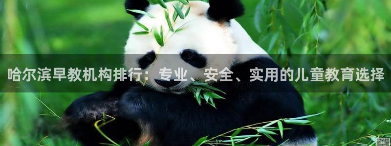 威九国际网站：哈尔滨早教机构排行：专业、安全、实用的儿童教育选择