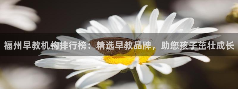 威九国际app入口官网：福州早教机构排行榜：精选早教品牌，助您孩子茁壮成长