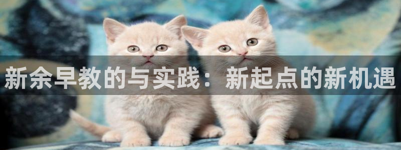 威九国际系列：新余早教的与实践：新起点的新机遇