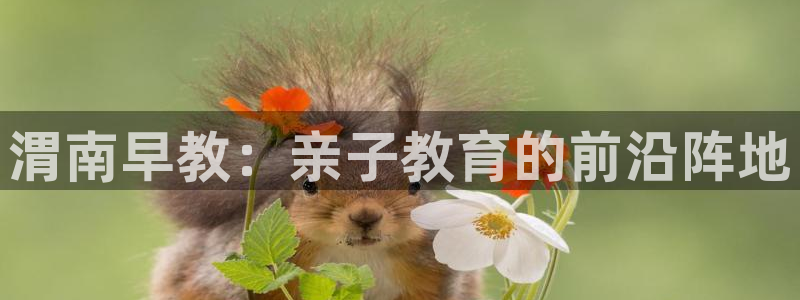 威九国际78mapp：渭南早教：亲子教育的前沿阵地