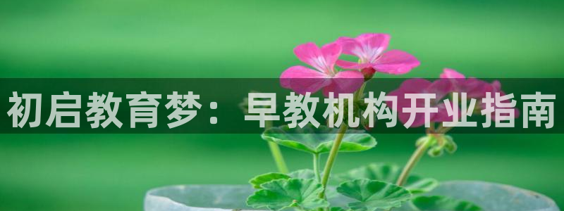 威九国际网站链接：初启教育梦：早教机构开业指南