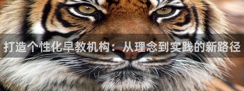 威九国际人民网招聘：打造个性化早教机构：从理念到实践的新路径