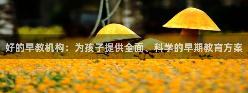 威九国际体育app下载：好的早教机构：为孩子提供全面、科学的早期教育方案