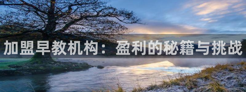 威九国际可以提现吗是真的吗：加盟早教机构：盈利的秘籍与挑战