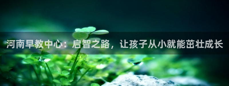 威九国际78mob游戏亮点：河南早教中心：启智之路，让孩子从小就能茁壮成长