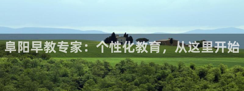 威九国际网站怎么样：阜阳早教专家：个性化教育，从这里开始