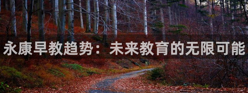 威九国际78mB官网版：永康早教趋势：未来教育的无限可能