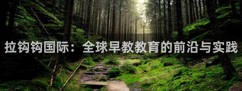 威九国际78mb官网版：拉钩钩国际：全球早教教育的前沿与实践