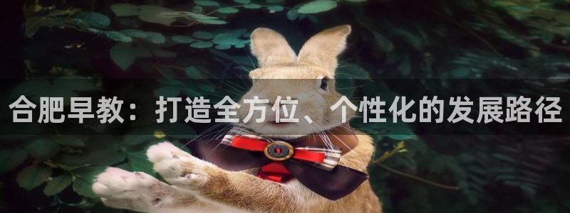 威九国际ppt免费下载网址:合肥早教:打造全方位、个性化的发展路径