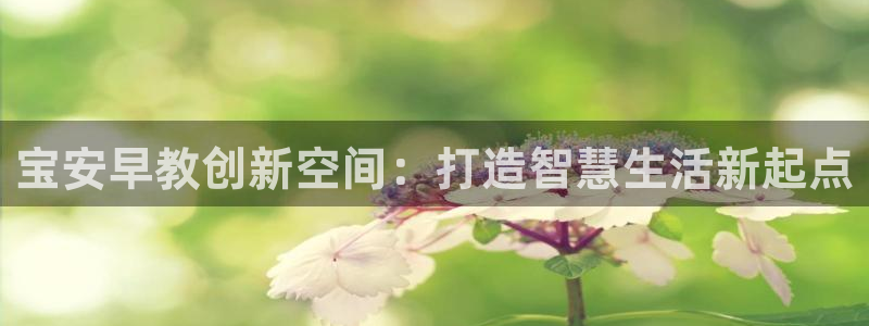 威九国际mb：宝安早教创新空间：打造智慧生活新起点