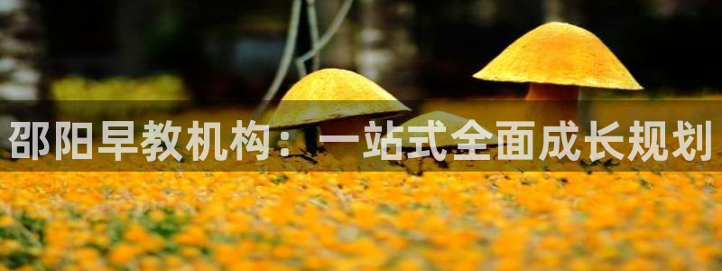 威九国际网站入囗:邵阳早教机构:一站式全面成长规划