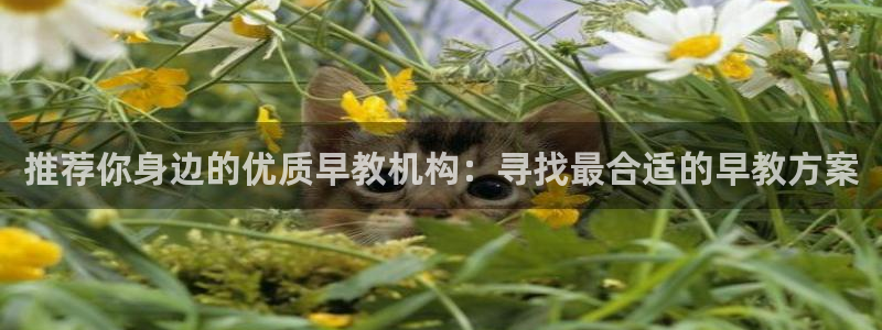 威九国际电影2022年9月月：推荐你身边的优质早教机构：寻找最合适的早教方案