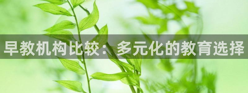 威九国际电影HD：早教机构比较：多元化的教育选择