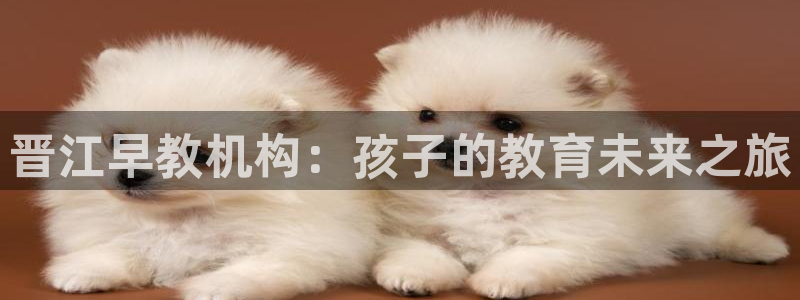 威九国际66m66大陆：晋江早教机构：孩子的教育未来之旅