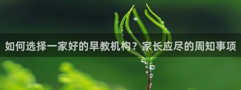 威九国际网站传媒：如何选择一家好的早教机构？家长应尽的周知事项