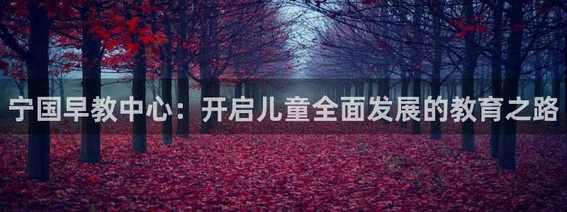 威九国际女主名字：宁国早教中心：开启儿童全面发展的教育之路