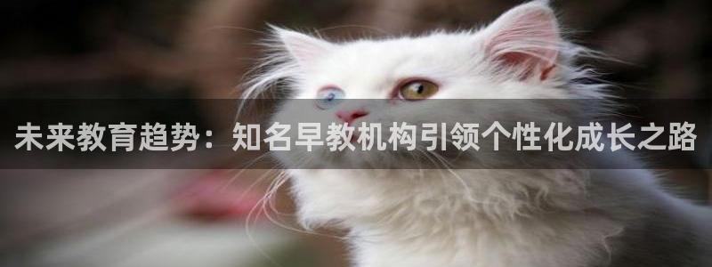威九国际66cm：未来教育趋势：知名早教机构引领个性化成长之路