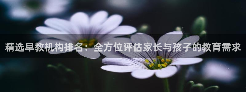 威九国际EVA0001：精选早教机构排名：全方位评估家长与孩子的教育需求