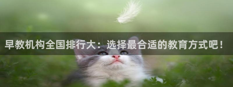 威九国际免费版：早教机构全国排行大：选择最合适的教育方式吧！