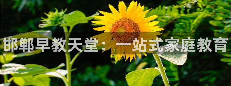 威九国际官网版：邯郸早教天堂：一站式家庭教育