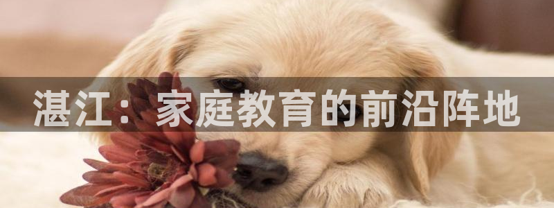 威九国际网站更新:湛江:家庭教育的前沿阵地