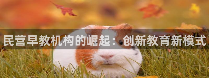 威九国际X8:民营早教机构的崛起:创新教育新模式