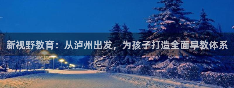 威九国际v8：新视野教育：从泸州出发，为孩子打造全面早教体系